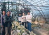Cactus Garden